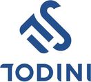 ITS Todini